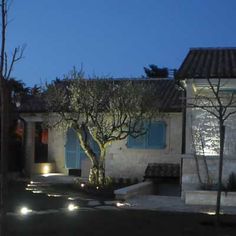 Un viale reso suggestivo grazie allilluminazione con faretti led ... Illuminazione casa esterno
