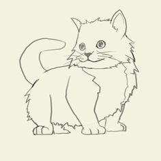 how to draw kitten learn to draw a kitten step by step images along with