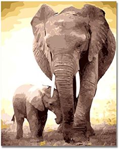 Framed Paint By Number kit 16*20“ On Canvas African Tropical Grassland Animals