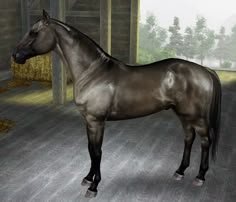 Sls Draw Reinssugars Legacy Stables Sls Draw Reinssugars Legacy Stables