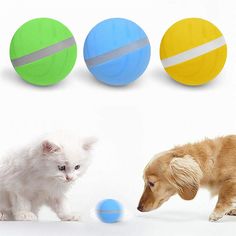 Ofanyia Pet Dog Funny Vegetables Chew Toy Thick Canvas Bite Toy with Squeaker Catnip
