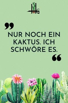 29 Zitate Kaktus und GartenIdeen garten zitate, kaktus, lieblingszitate