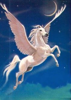 Image result for foto de pegaso