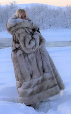 Thick Fur Real Vulpes Lagopus Fox Fur Earmuffs Warm Fashion Large Earmuff Soft