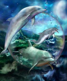 51 best dolphin art