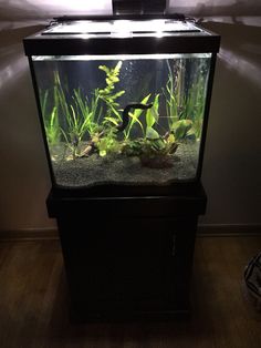 24 best my freshwater
