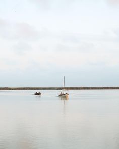 40 Ideas De La Albufera Albufera Valencia Valencia Parques Naturales