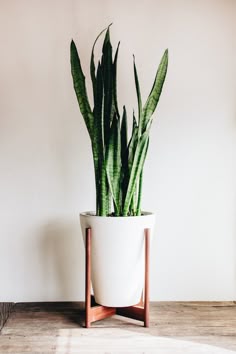 office pot plants gardening tall plant stand indoor indoor hanging plants decor stands the 276 best office plants images on pinterest inside garden office pot plants gardening tall plant stand indoor indoor hanging plants decor stands the 276 best office plants images on pinterest inside garden