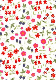 Wallpaper Border Floral B.0427
