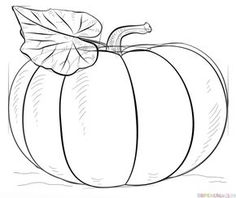 pumpkin drawing thanksgiving in 2018 pinterest pumpkin drawing