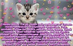 Тэхен был лучшим фанатом Чонгука, он просмотрел все его видео. Так пр… #фанфик # Фанфик # amreading # books # wattpad Кошачьи Мемы, Забавные Фото, Милые Тексты, Информационные Технологии, Фотографии Профиля, Разбитое Сердце
