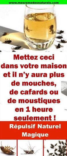 617 best Tout pour la maison images on Pinterest Cleaning hacks - budget pour construire une maison 617 best Tout pour la maison images on Pinterest Cleaning hacks - budget pour construire une maison