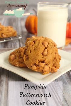 Can Be Used for Fall Autumn or All Year Long Apple Cider Donuts Potpourri Homestead Studios Delicious Well Scented Potpourri Yummy