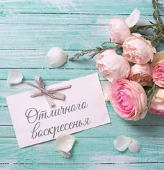 Тамара Полина