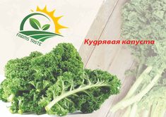 32 Vegetable Packaging Ideas Vegetable Packaging Vegetables Packaging