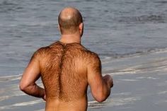 male hairy backs Nude kenosha wi