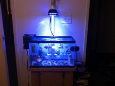 48 best saltwater tanks