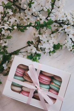 Fetes Occasions Speciales 60th Anniversaire Maman Mere Grand Luxe Carte D Anniversaire 60 Gratuit 1st Classe Post Maison Cdnorteimagen Cl Fetes Occasions Speciales 60th Anniversaire Maman Mere Grand Luxe Carte D Anniversaire 60 Gratuit 1st Classe Post Maison Cdnorteimagen Cl