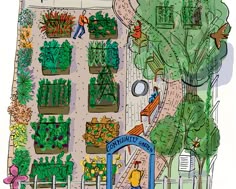 great idea i wish we could do this in chillitown green thumb pinterest community gardens and garden ideas - How To Start A Community Garden great idea i wish we could do this in chillitown green thumb pinterest community gardens and garden ideas - How To Start A Community Garden