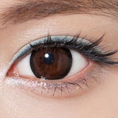 9 best contact lenses