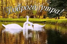 Доброе утро картинки красивые анимированные