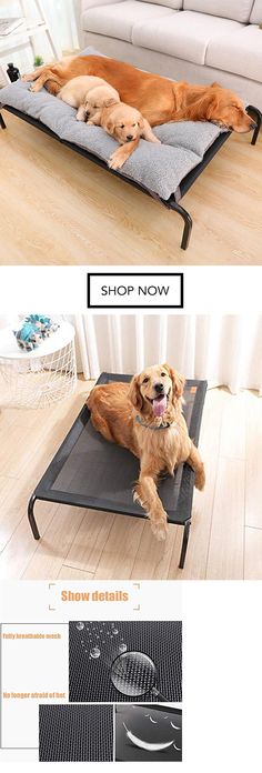 Cat Dog Portable Convertible 4 in 1 Pet Bed House Cozy Lounge Indoor Mat