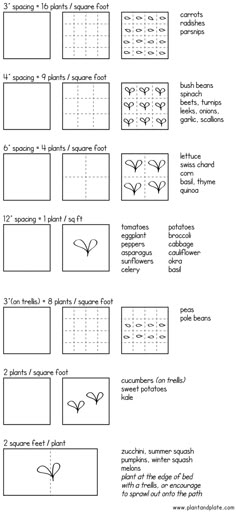 Square foot garden spacing guide and great explanation of how SFG works Garden Layout Vegetable, Veg Garden, Edible Garden, Kitchen Garden, Garden Plants, Vegetable Gardening, Garden Planting Layout, Homestead Garden Layout, Small Garden Layout