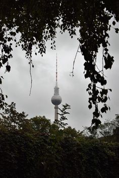 rike mccullough sex berlin mitte Gay guy porn