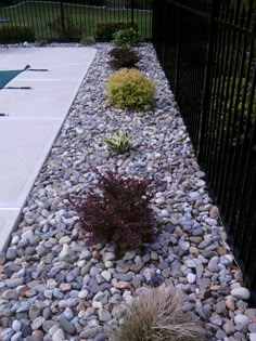 some basic tips for landscaping around an inground swimming pool some basic tips for landscaping around an inground swimming pool