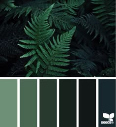 Color Palette 3189 Ideas Colors Pinterest How To Pick The Right Color For Your Brand Www Aylinmarie Co