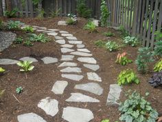 Rock Pathways paver pathway, hosta, and mulch | flowers grass and rocks oh my Rock Pathways paver pathway, hosta, and mulch | flowers grass and rocks oh my
