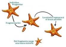 Pin En Dibujos A Lapiz Faciles