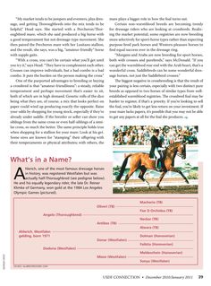 thoroughbred jockey club tattoo age chart track down your ex thoroughbred jockey club tattoo age chart track down your ex