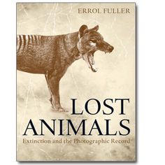 High School Essay Sample Extinct Animals Lost To Planet Earth But Preserved In Photographs Excerpt Amp Photo Proposal Essay Topics List also Public Health Essay Best Extinct Creatures Images Extinct Animals Endangered What Is A Thesis Statement In An Essay Examples
