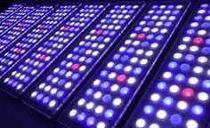 65 best led aquarium