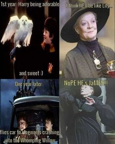 Rubies Boccino d/'oro di Harry Potter
