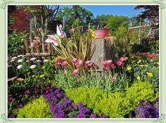 Postino Cuisine Italian 3565 Mount Diablo Boulevard Lafayette Orchard Nursery In Lafayette Ca Is A Great Place To Pick Up Variety Of