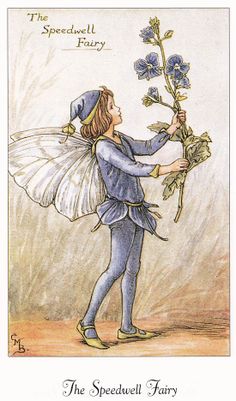 Speedwell Fairy by Cicely Mary Barker Spring Flower Fairies c1935 old print