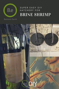 168 best aquarium diy