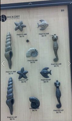 Coastal Cabinet S And Pulls Decor Pinterest Beach Nautical Drawer Pulls