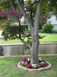 Flower Garden Ideas Around Tree 5 front yard landscaping ideas you can actually do yourself Flower Garden Ideas Around Tree 5 front yard landscaping ideas you can actually do yourself