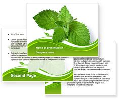powerpoint templates da seguranca rodoviaria flea powerpoint template with flea powerpoint background powerpoint templates da seguranca rodoviaria flea powerpoint template with flea powerpoint background