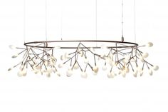 moooi beleuchtung moooi raimond moooi heracleum small big copper deckenleuchten kronleuchter beleuchtung lichter befestigungen für 899 besten wonderful lights bilder auf pinterest moooi beleuchtung moooi raimond moooi heracleum small big copper deckenleuchten kronleuchter beleuchtung lichter befestigungen für 899 besten wonderful lights bilder auf pinterest