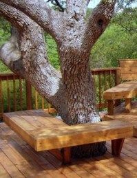64 Ideas For Tree Trunk Seat Yards Landscaping Around Trees Bench Deck 64 Ideas For Tree Trunk Seat Yards, Seat Around Tree Trunk