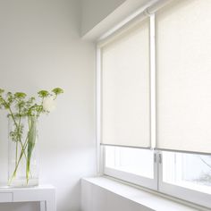 White Blinds For Windows cellular shades (disappear neatly when they are open, allowing for White Blinds For Windows cellular shades (disappear neatly when they are open, allowing for