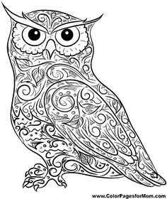 Owl Coloring Pages - Koloringpages | Owls | Pinterest | Owl, Adult ... Owl Coloring Pages - Koloringpages | Owls | Pinterest | Owl, Adult ...