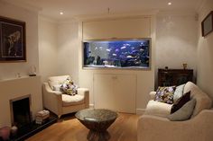 147 best aquarium images