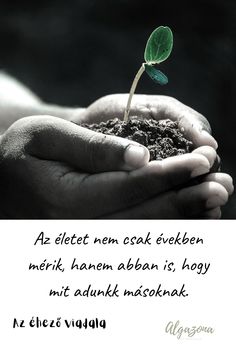 motivációs idézetek a szív egészségére szívegészségügyi program vvcs