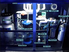 9 best saltwater tank