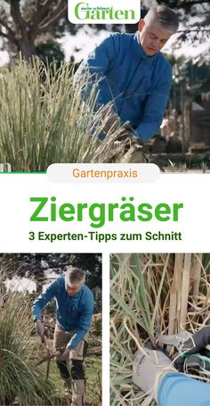 Die Top Testsieger - Finden Sie die Gärten gestalten Ihren Wünschen entsprechend